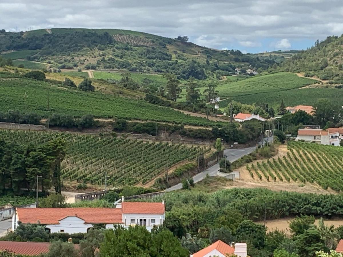 Quinta Ribeira Do Labrador - Lisbon West Wine Route Villa Alenquer Exterior foto