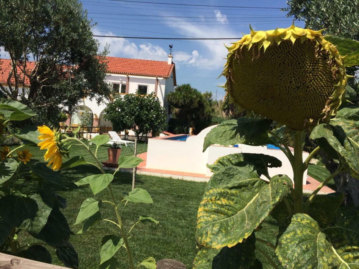 Quinta Ribeira Do Labrador - Lisbon West Wine Route Villa Alenquer Exterior foto